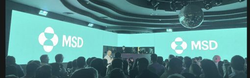 MSD celebró el fin de año en Crëta