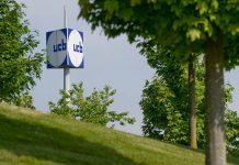 FDA: luz verde para Kygevvi de UCB UCB