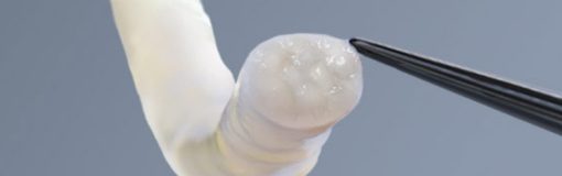 FDA: luz verde para injerto nervioso Axogen Avance