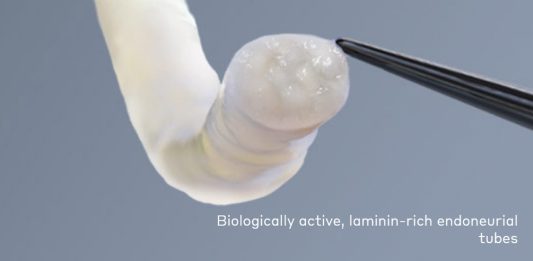 FDA: luz verde para injerto nervioso Axogen Avance