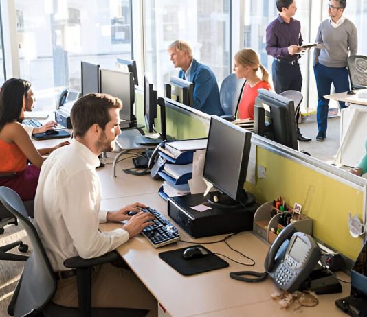 Genomma con full office en 2026