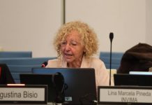 ANMAT: fin a la era Bisio