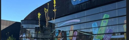 Algabo: resultados y lanzamientos