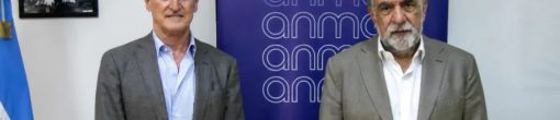 Fontana creó consultora antes de asumir en ANMAT