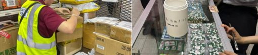 INTERPOL: operativo Pangea XVIII