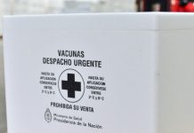 Vacunas antigripales: envíos a jurisdicciones