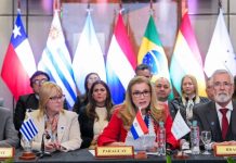 Cumbre de Ministros de Salud Mercosur