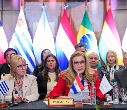 Cumbre de Ministros de Salud Mercosur