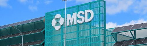 MSD con ventas de mitad de año
